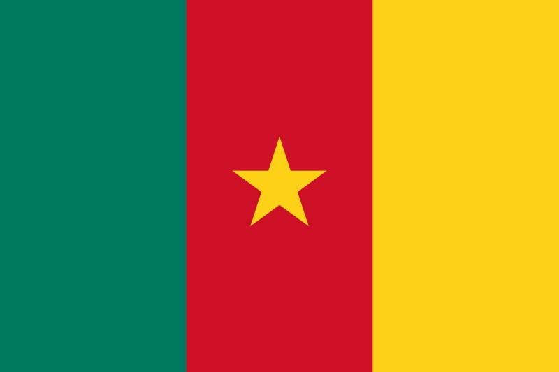 NATIONAL FLAG OF CAMEROON  The Flagman